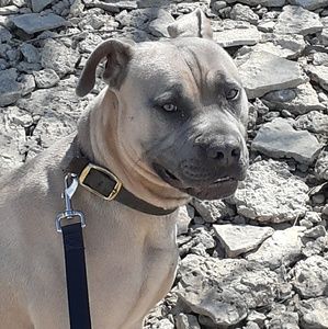 Meet your Posher, Sean